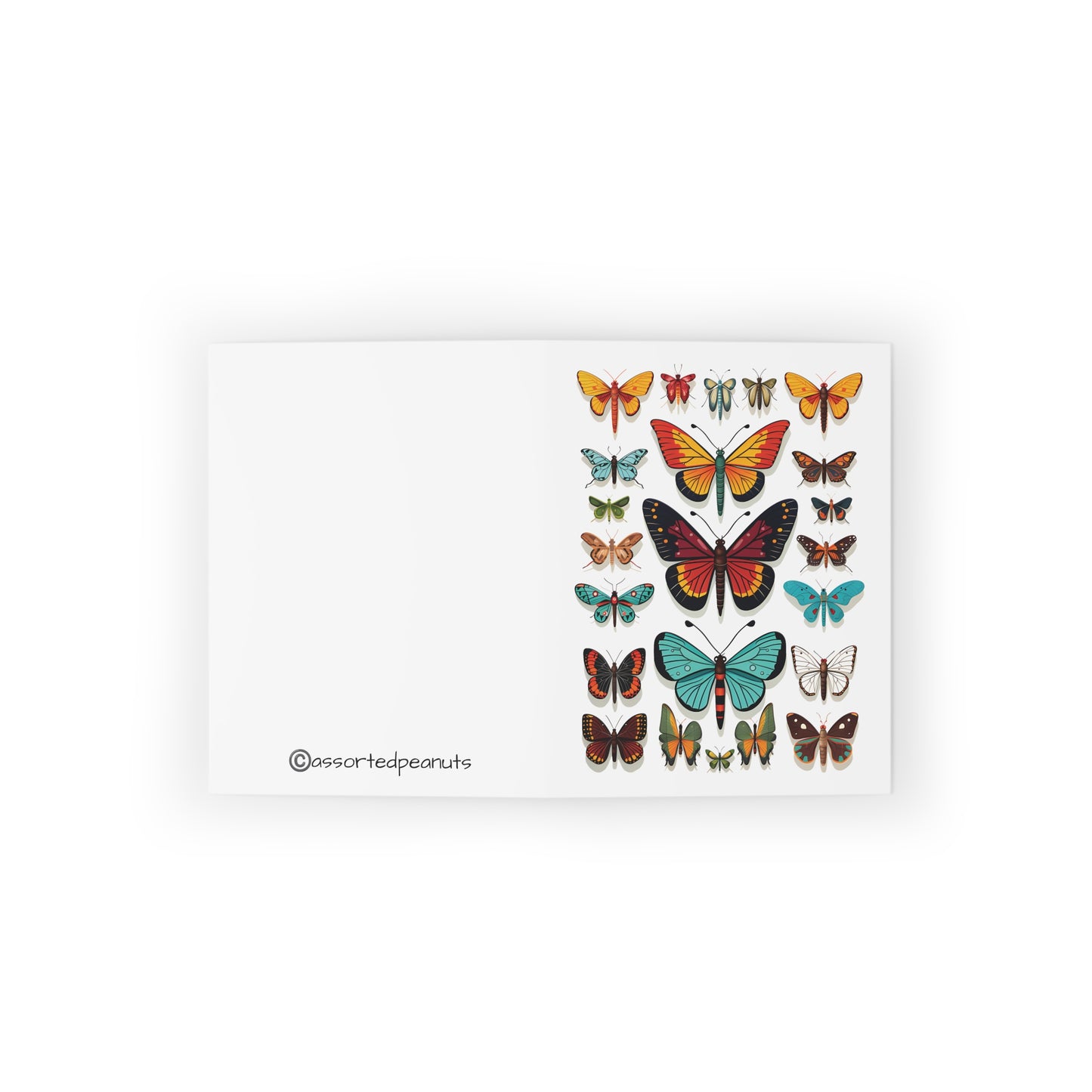 Colorful Insect Display Greeting Card