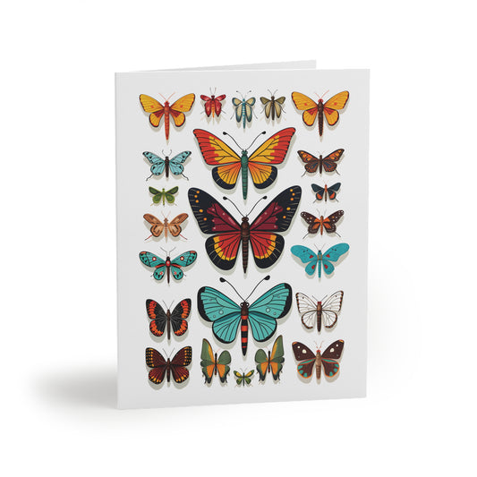 Colorful Insect Display Greeting Card