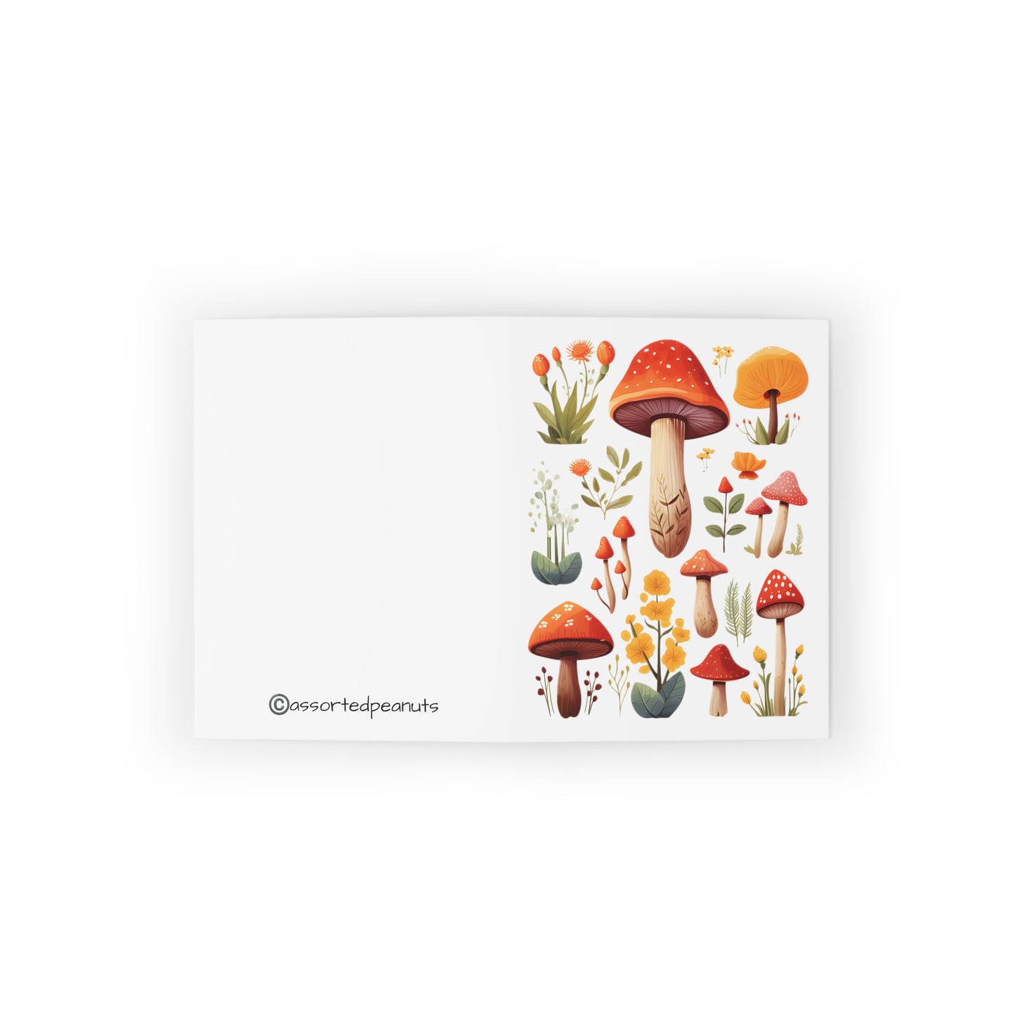 Mushroom Display Greeting Card